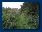 Not up here - should have turned right down the hill